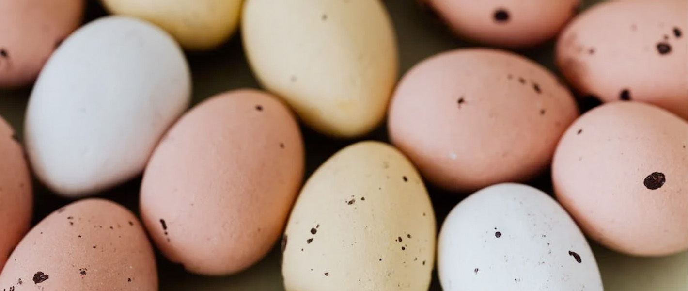 coloured eggs