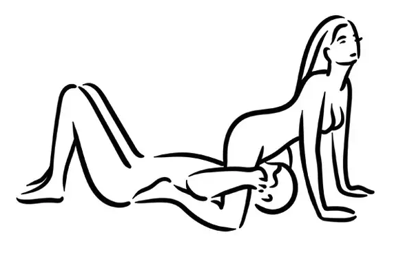 illustration of sex position