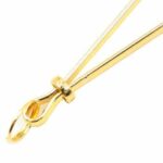 Nipple Clamps Gold Metal Close Up