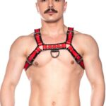 Prowler-Red-Bull-Harness-Front