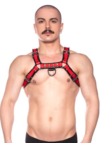Prowler Red Bull Harness Front
