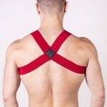 Prowler Red Sports Harness