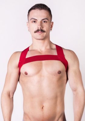 Prowler-Red-Sports-Harness-Front