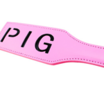 close-up-pink-pig-paddle1