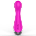 Rechargeable 10 Speed Vibe (2)