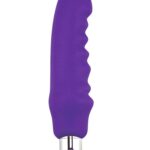 Rechargeable Compact Silicone Vibrator (1)