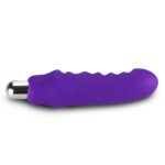 Rechargeable Compact Silicone Vibrator (4)