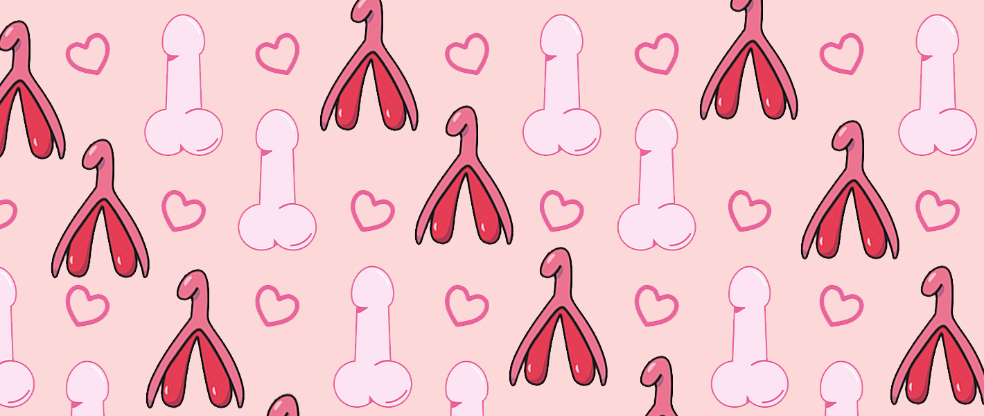 graphic of penis and clitoris