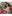 monogamy-couples-sex-game-1-5.jpg