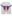 purple-heart-strap-on-harness-1-11.jpg