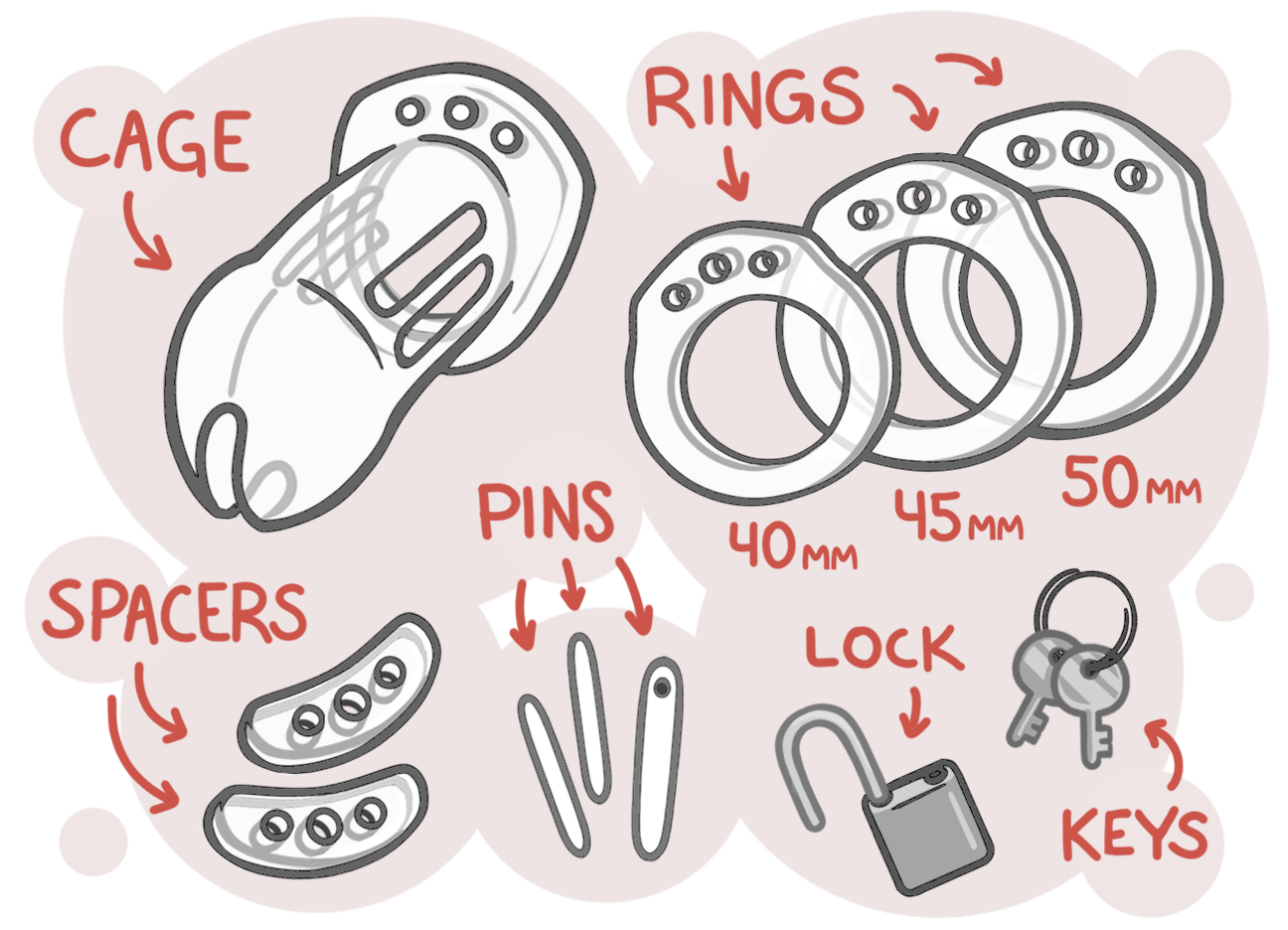 Curious About Penis Enlargement Toys? Here’s the Pleasure-Boosting Lowdown
